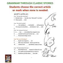 Load image into Gallery viewer, The Language Theater Grammar PLAY BOOK (Workbook)